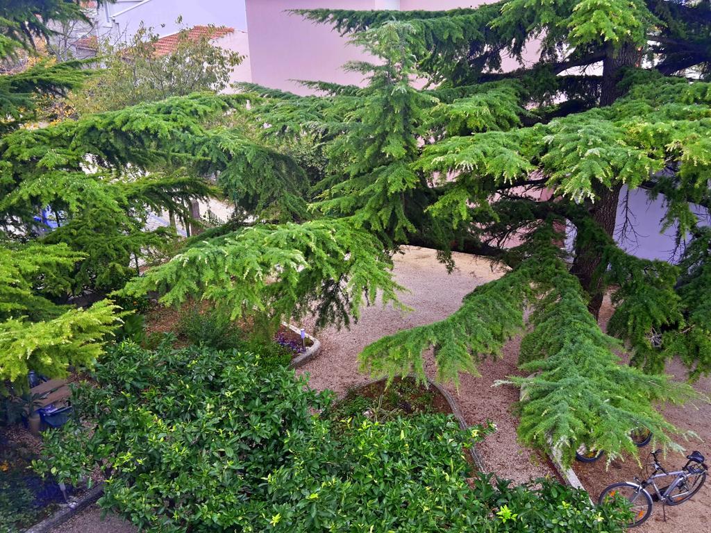 באסקה וודה Villa Libe מראה חיצוני תמונה